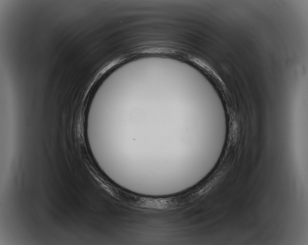 X0000086760882200704130812