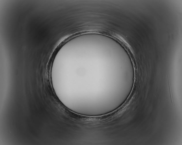 X0000086760883200704130812