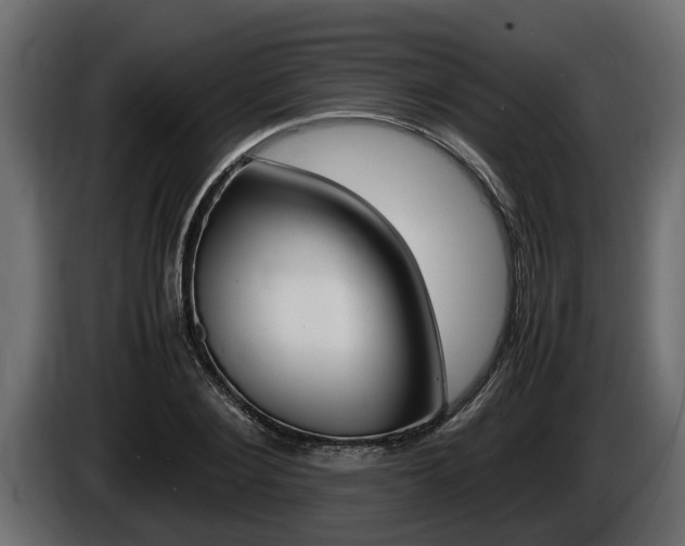 X0000086760884200704130812