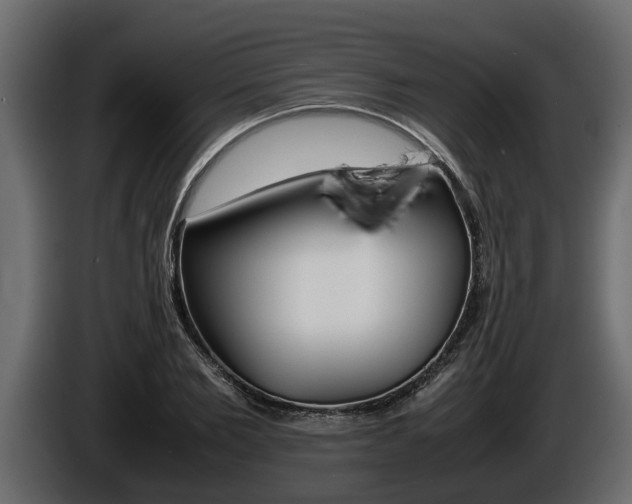 X0000086760885200704130812