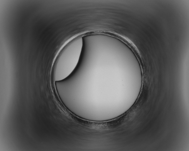 X0000086760887200704130812