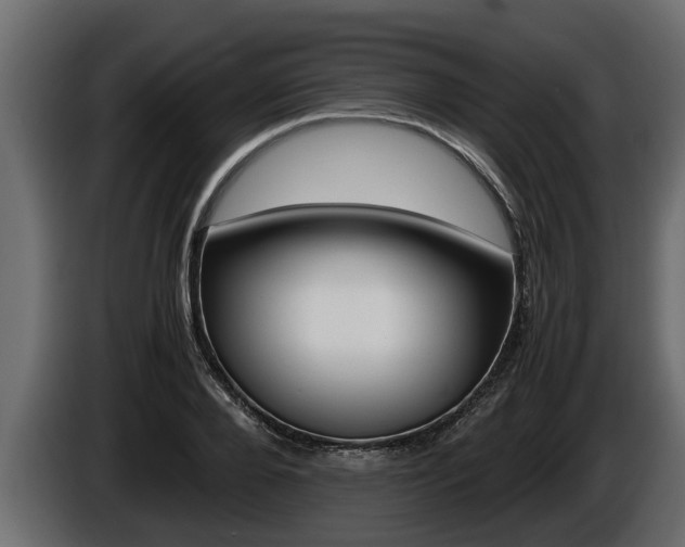 X0000086760888200704130812