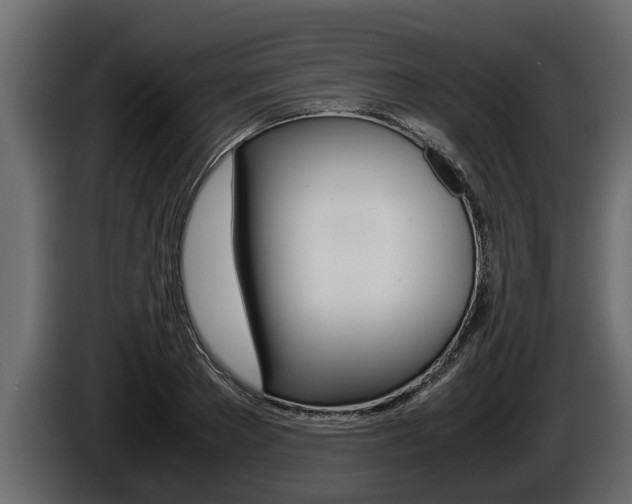 X0000086760889200704130812