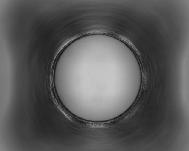 X0000086760890200704130812