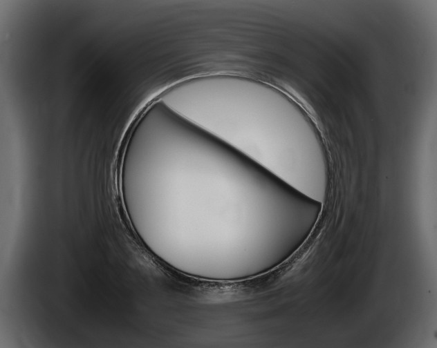 X0000086760891200704130812