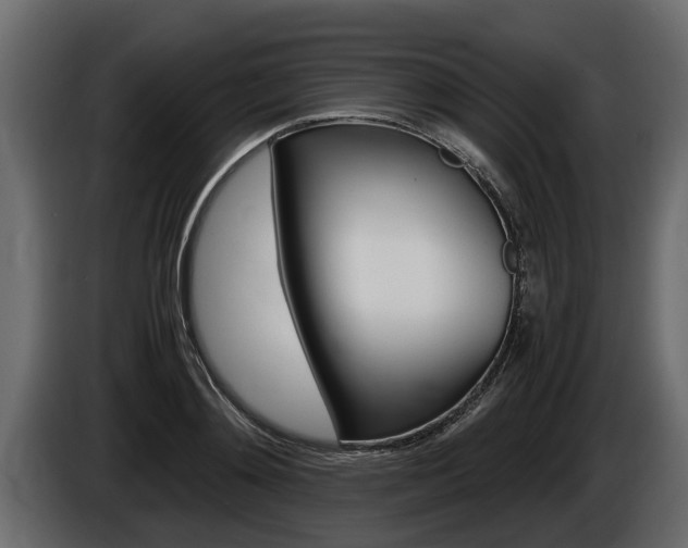 X0000086760892200704130812