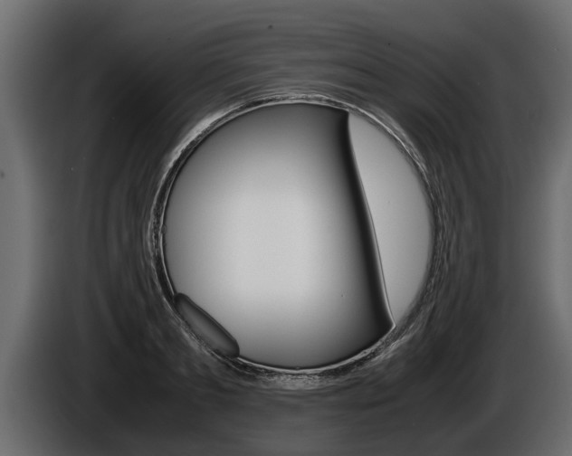 X0000086760893200704130812
