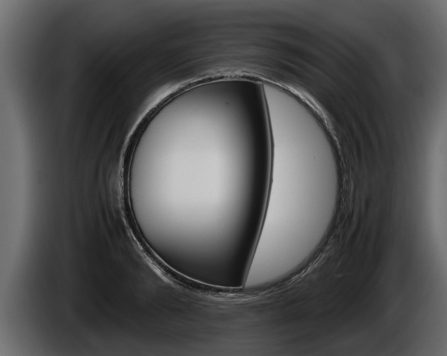 X0000086760894200704130812
