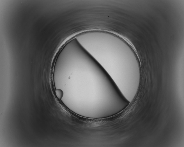 X0000086760895200704130812