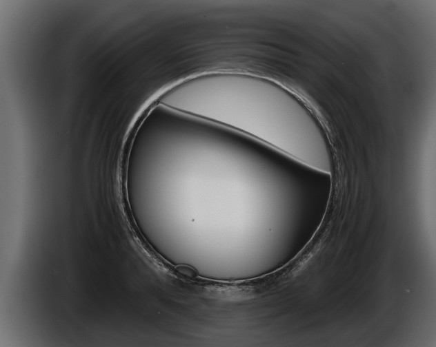 X0000086760896200704130812