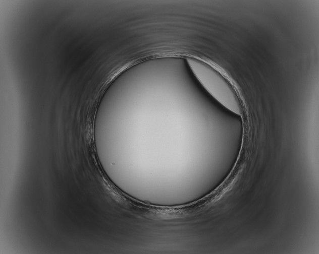 X0000086760897200704130812