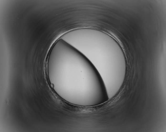 X0000086760899200704130812