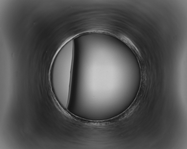 X0000086760900200704130812