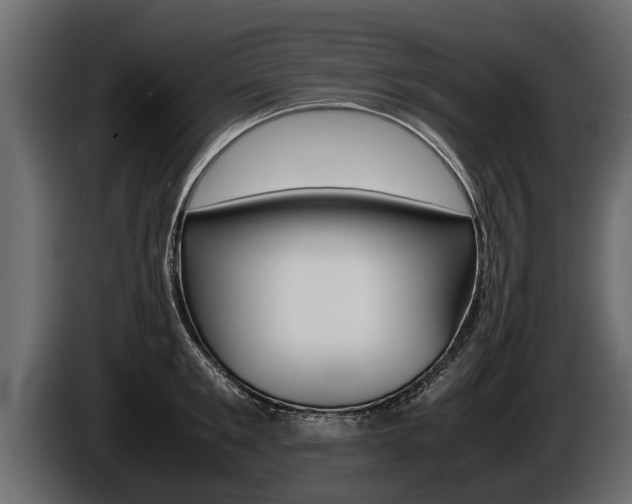 X0000086760901200704130812