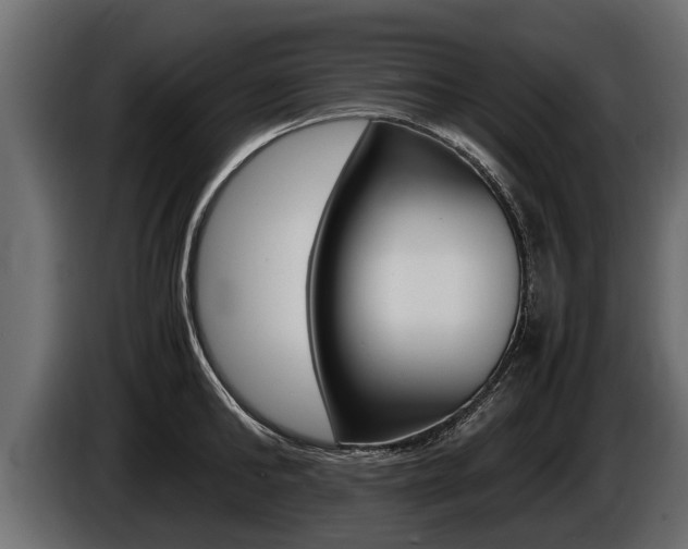 X0000086760902200704130812