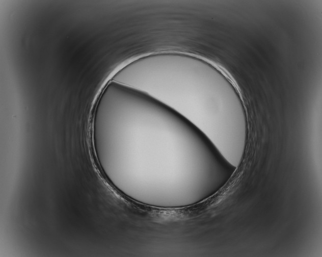X0000086760903200704130812