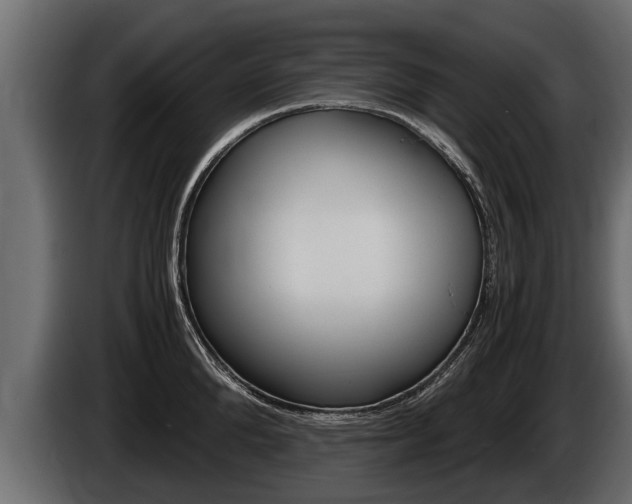 X0000086760904200704130812