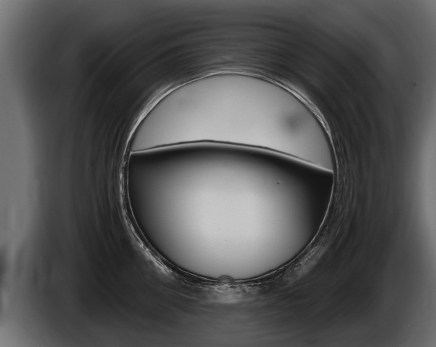 X0000086760906200704130812