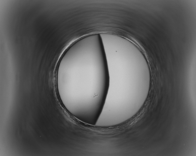 X0000086760907200704130812
