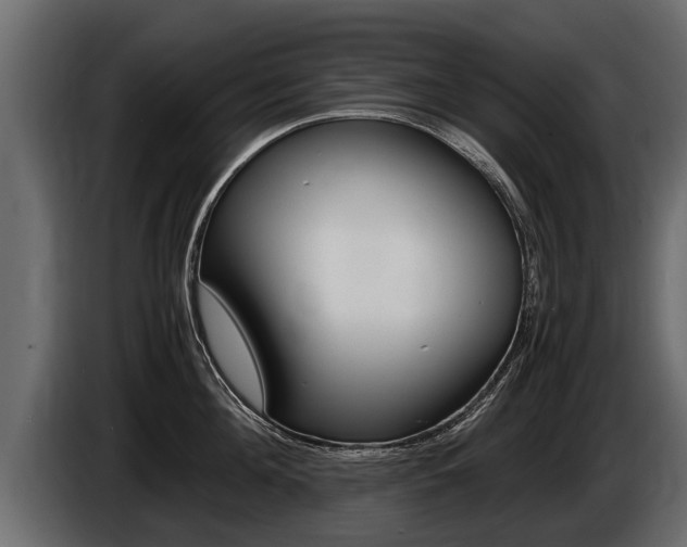 X0000086760908200704130812