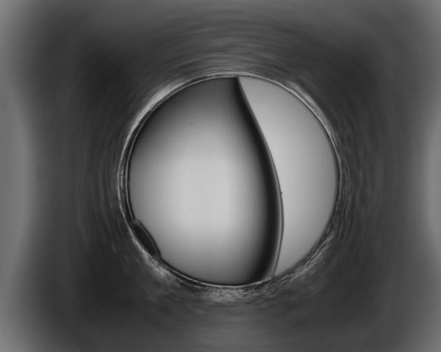 X0000086760909200704130812