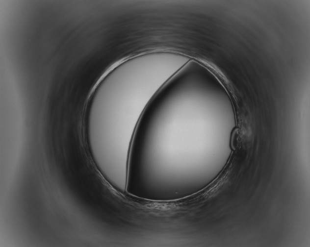 X0000086760910200704130812