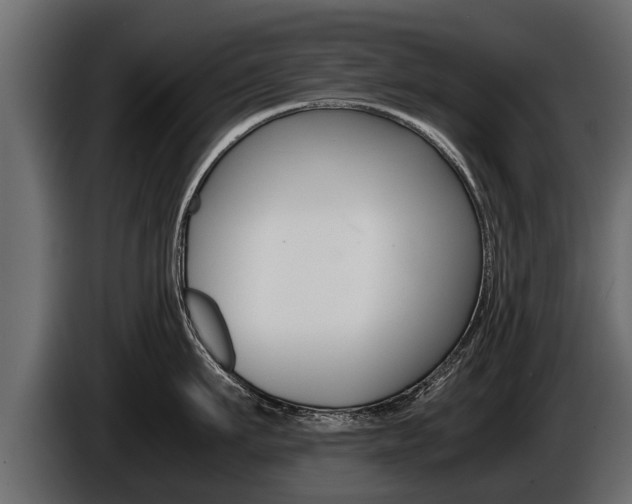 X0000086760911200704130812