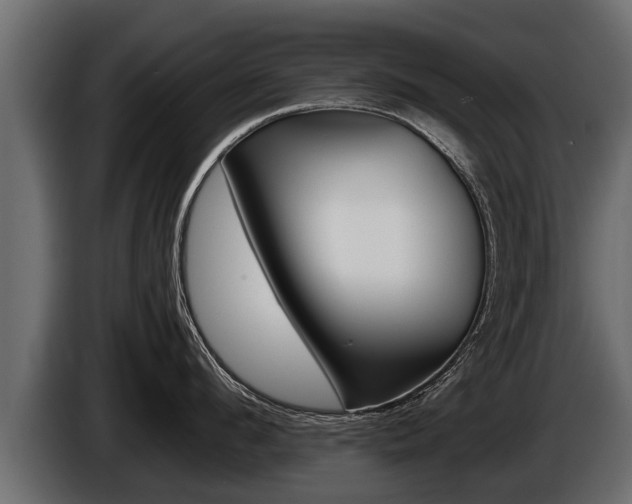 X0000086760912200704130811
