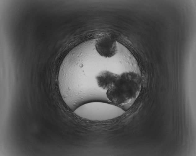 X0000086760913200704130811