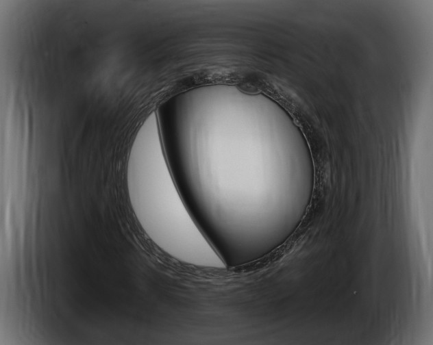 X0000086760914200704130811