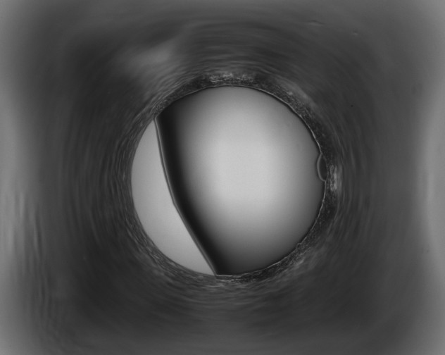 X0000086760915200704130811
