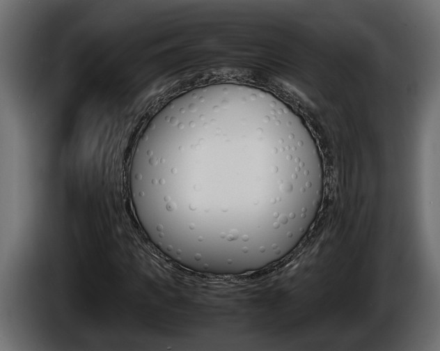 X0000086760917200704130811