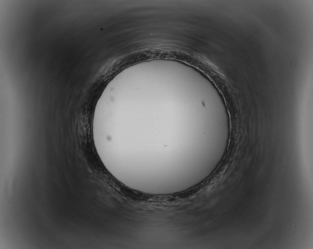 X0000086760918200704130811