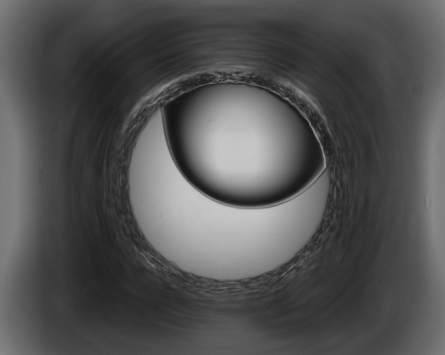 X0000086760920200704130811