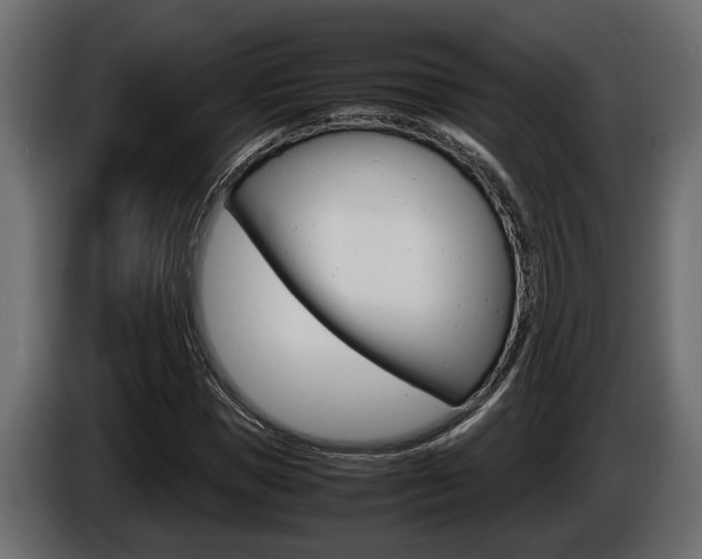 X0000086760921200704130811