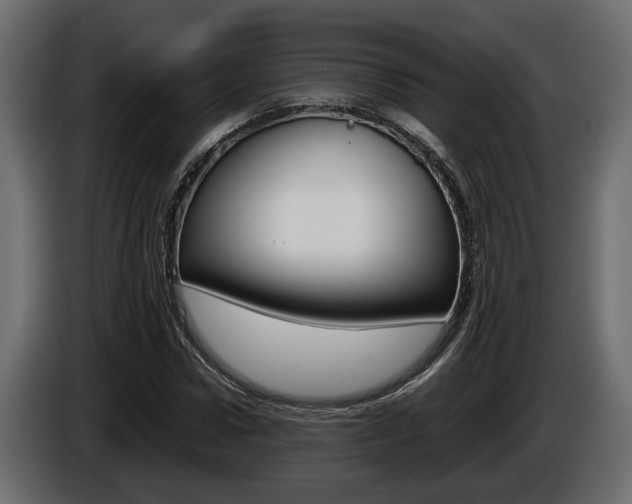 X0000086760922200704130811