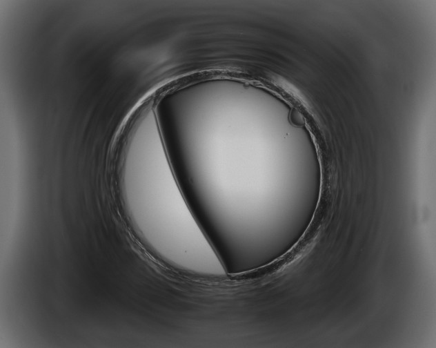 X0000086760923200704130811