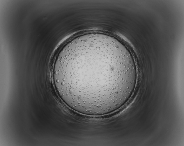 X0000086760925200704130811