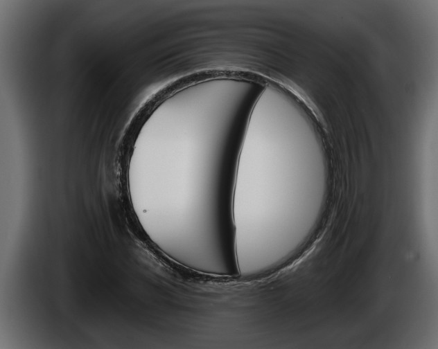 X0000086760926200704130811