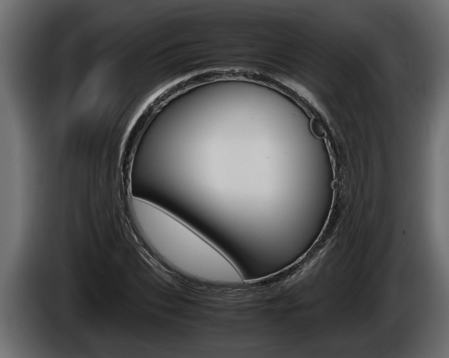 X0000086760927200704130811