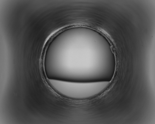 X0000086760928200704130811