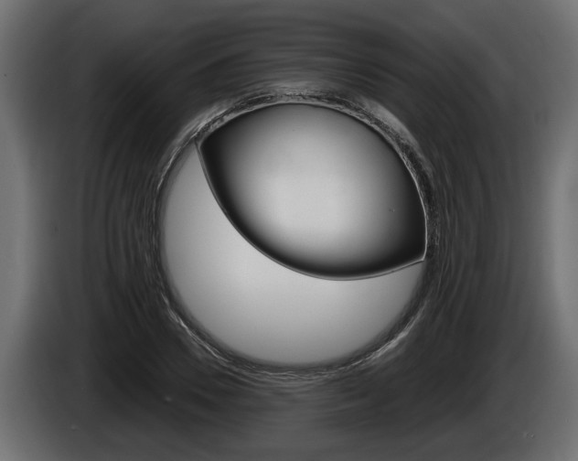 X0000086760930200704130811