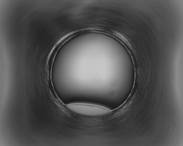 X0000086760931200704130811