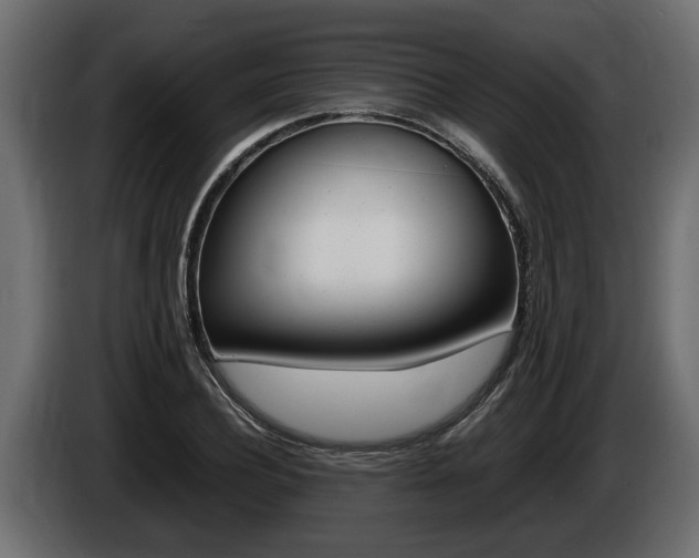 X0000086760932200704130811