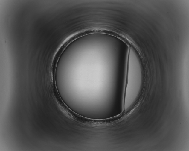 X0000086760934200704130811