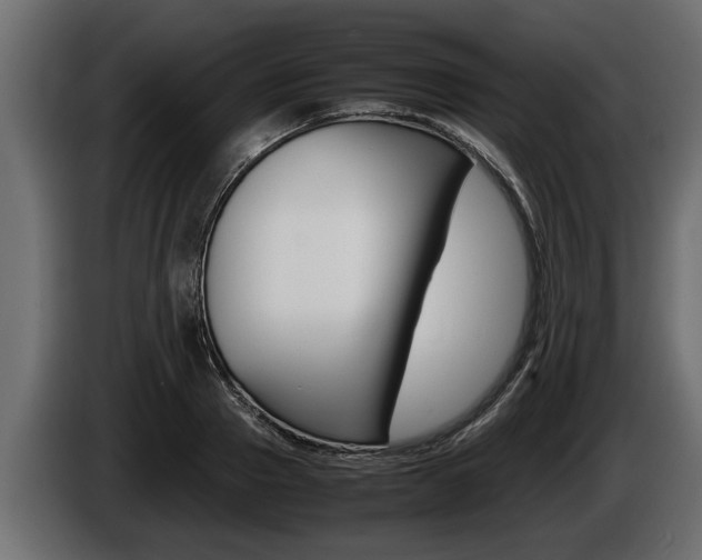 X0000086760937200704130811