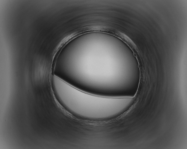 X0000086760938200704130811