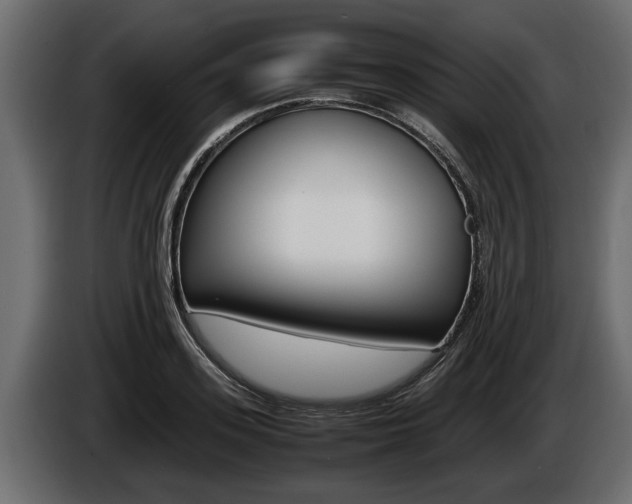 X0000086760939200704130811