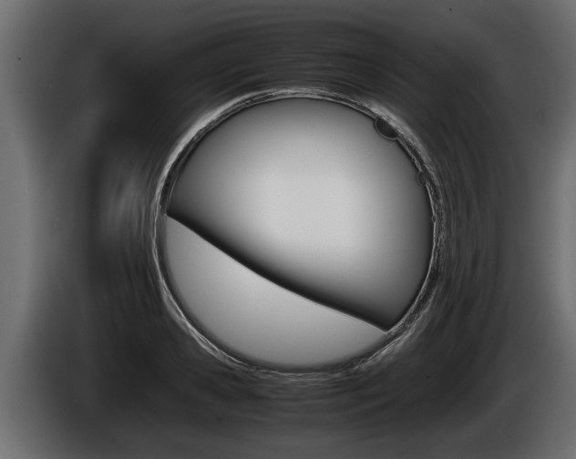X0000086760941200704130811