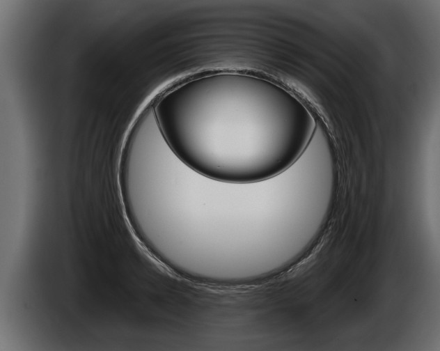 X0000086760942200704130811